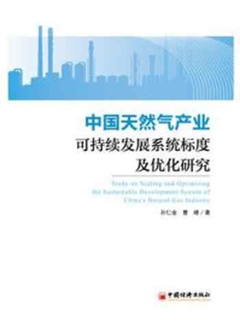 《中国天然气产业可持续发展系统标度及优化研究》-孙仁金