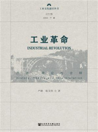 《工业革命：历史、理论与诠释》-严鹏