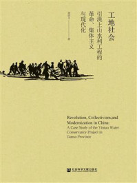 《工地社会：引洮上山水利工程的革命、集体主义与现代化》-刘彦文
