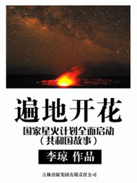 《遍地开花：国家星火计划全面启动》-李琼