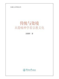 《传统与处境：从隐喻神学看宗教文化（红湖人文学科丛书）》-高健群