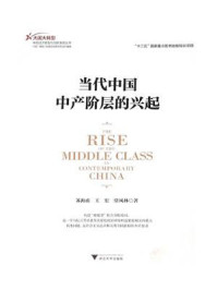 《当代中国中产阶层的兴起》-苏海南