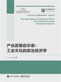《产业政策启示录：工业文化的政治经济学》-严鹏