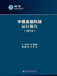 《中国金融科技运行报告（2018）》-杨涛
