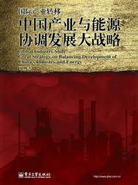 《国际产业转移：中国产业与能源协调发展大战略》-丁刚