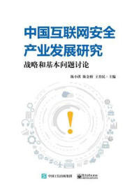 《中国互联网安全产业发展研究：战略和基本问题讨论》-陈小洪