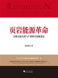 《页岩能源革命：全球石油天然气产业的兴衰和变迁》-龚斌磊