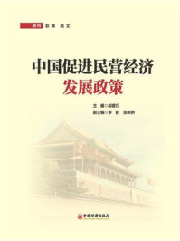 《中国促进民营经济发展政策》-胡德巧