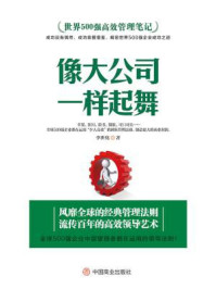 《世界500强高效管理笔记：像大公司一样起舞》-李世化