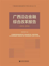 《广西沿边金融综合改革报告（2013～2018）》-广西建设面向东盟的金融开放门户领导小组办公室