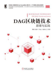 《DAG区块链技术：原理与实践》-曹源