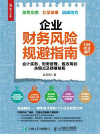 《企业财务风险规避指南：会计实务、财务管理、税收筹划关键点及疑难解析》-袁国辉