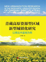 《青藏高原资源型区域新型城镇化研究—以柴达木盆地为例》-丁生喜