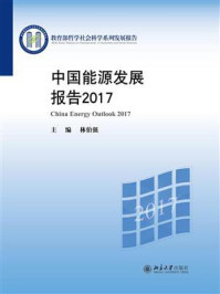 《中国能源发展报告2017》-林伯强