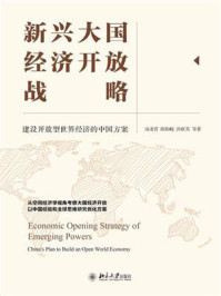 《新兴大国经济开放战略： 建设开放型世界经济的中国方案》-汤凌霄