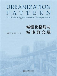 《城镇化格局与城市群交通》-赵鹏军