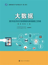 《大数据：数字经济时代新要素和新基建之灵魂》-戴源