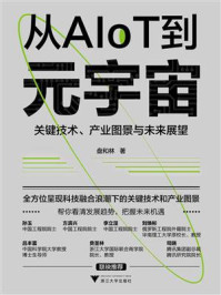 《从AIoT到元宇宙：关键技术、产业图景与未来展望》-盘和林