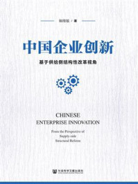 《中国企业创新：基于供给侧结构性改革视角》-解维敏