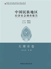 《中国民族地区经济社会调查报告·大理市卷》-王锋