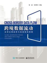 《跨境数据流动：全球治理趋势与我国规制策略》-张丽