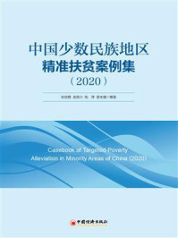 《中国少数民族地区精准扶贫案例集（2020）》-张丽君