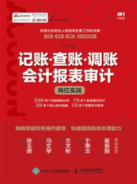 《记账·查账·调账·会计报表审计岗位实战》-平准
