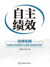 《自主绩效：贵州电网：凯里麻江供电局数字化建模与绩效模式观察》-王京刚