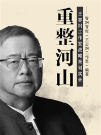 《重整河山：王志纲工作室战略策划实录》-智纲智库（王志纲工作室）