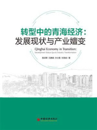 《转型中的青海经济：发展现状与产业嬗变》-殷颂葵
