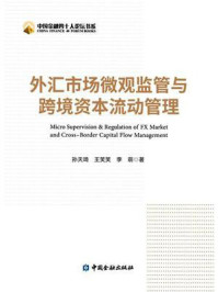《外汇市场微观监管与跨境资本流动管理》-孙天琦