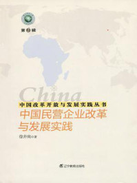 《中国改革开放与发展实践丛书：中国民营企业改革与发展实践》-徐井岗