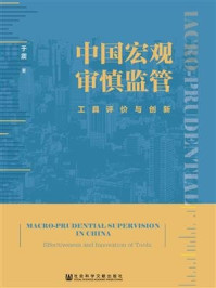 《中国宏观审慎监管：工具评价与创新》-于震