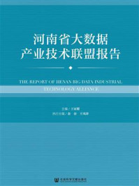 《河南省大数据产业技术联盟报告》-王家耀