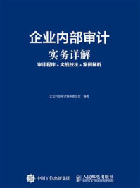 《企业内部审计实务详解：审计程序+实战技法+案例解析》-企业内部审计编审委员会