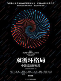 《双循环格局：中国经济新布局》-《双循环格局》编写组