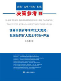 《世界面临百年未有之大变局：我国如何扩大高水平对外开放》-杨长湧