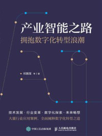 《产业智能之路：拥抱数字化转型浪潮》-祁国晟