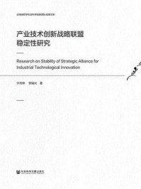 《产业技术创新战略联盟稳定性研究(云南省哲学社会科学创新团队成果文库)》-许传坤