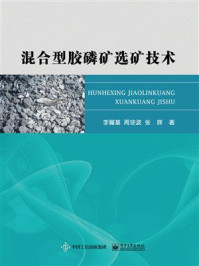 《混合型胶磷矿选矿技术》-李耀基