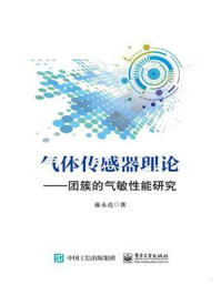 《气体传感器理论——团簇的气敏性能研究》-雍永亮