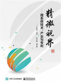 《精微视界——微系统技术、产业与专利》-王培华