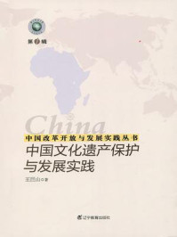 《中国改革开放与发展实践丛书：中国文化遗产保护与发展实践》-王巨山