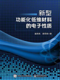 《新型功能化低维材料的电子性质》-琚伟伟