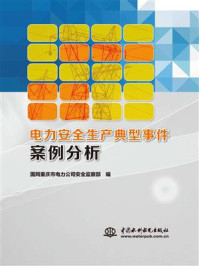 《电力安全生产典型事件案例分析》-国网重庆市电力公司安全监察部