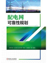 《配电网可靠性规划》-曹华珍