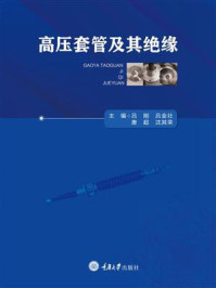 《高压套管及其绝缘》-吕刚