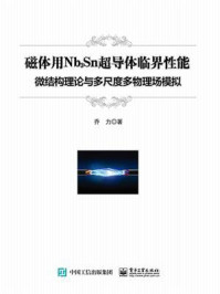 《磁体用Nb3Sn超导体临界性能：微结构理论与多尺度多物理场模拟》-乔力