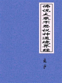 《佛说大乘不思议神通境界经》-施护