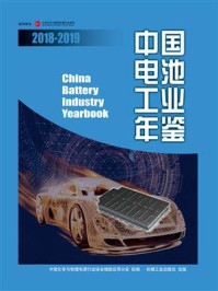 《中国电池工业年鉴2018-2019》-中国化学与物理电源行业协会储能应用分会